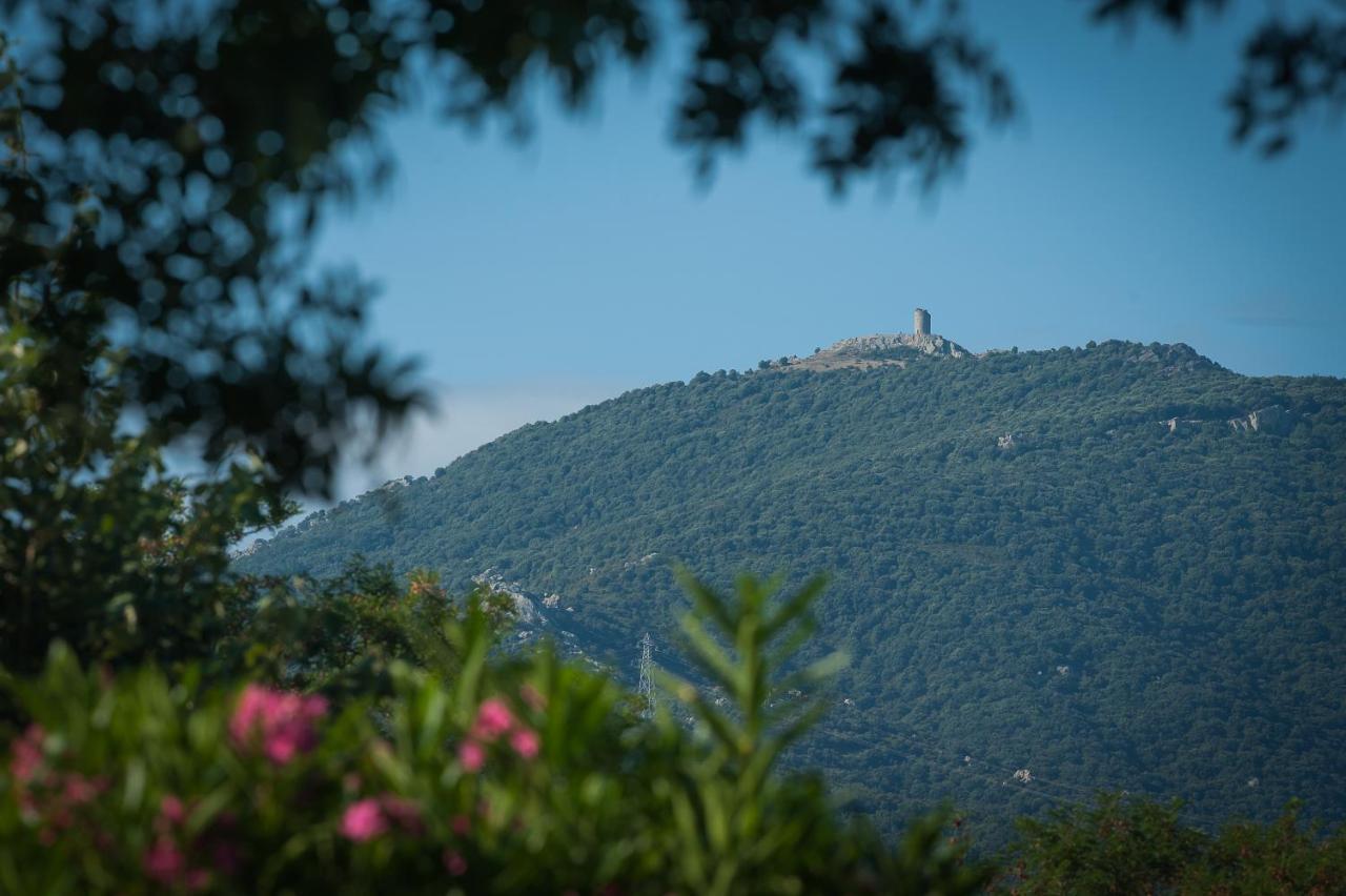 Camping La Plage Argeles Exteriér fotografie